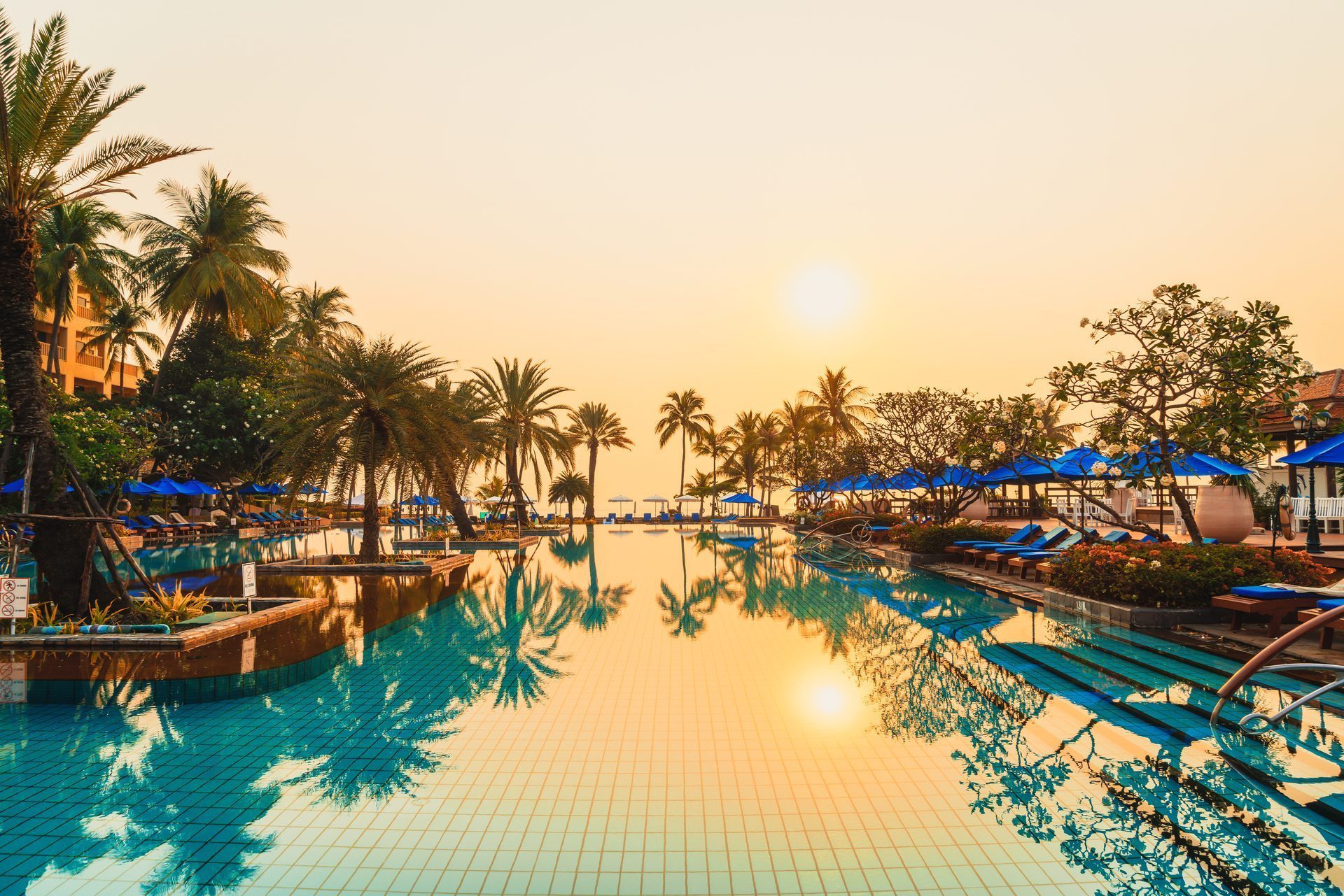 Palm trees and loungers beside a resort pool