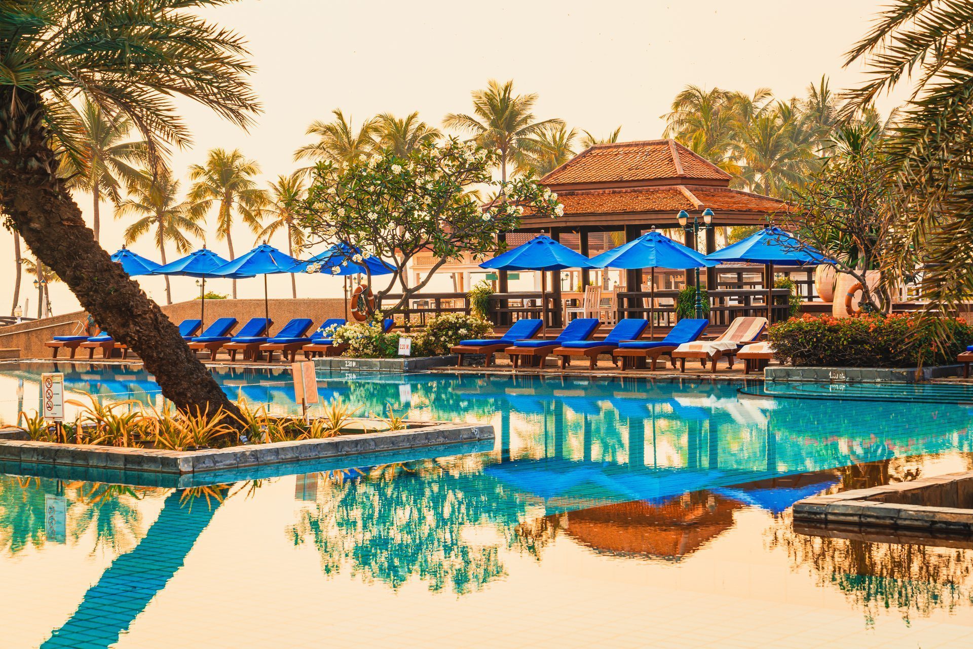 Umbrellas and loungers around a resort swimming pool