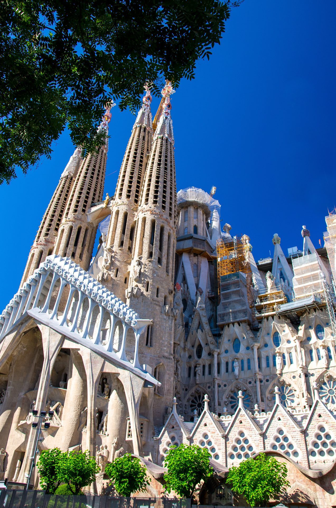 The Sagrada Família rising over Barcelona